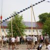 Maibaum 2013